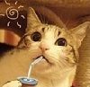 Аватара пользователя