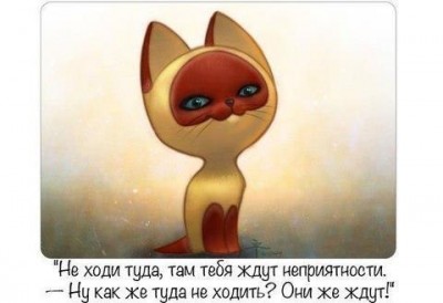 xGHUsluCuPY.jpg